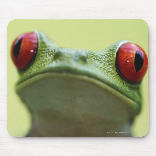 Red-eyed tree frog (Agalychnis callidryas) Mouse Pad (Front)