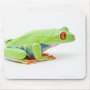 Red-Eyed Tree Frog (Agalychnis Callidryas) Mouse Pad