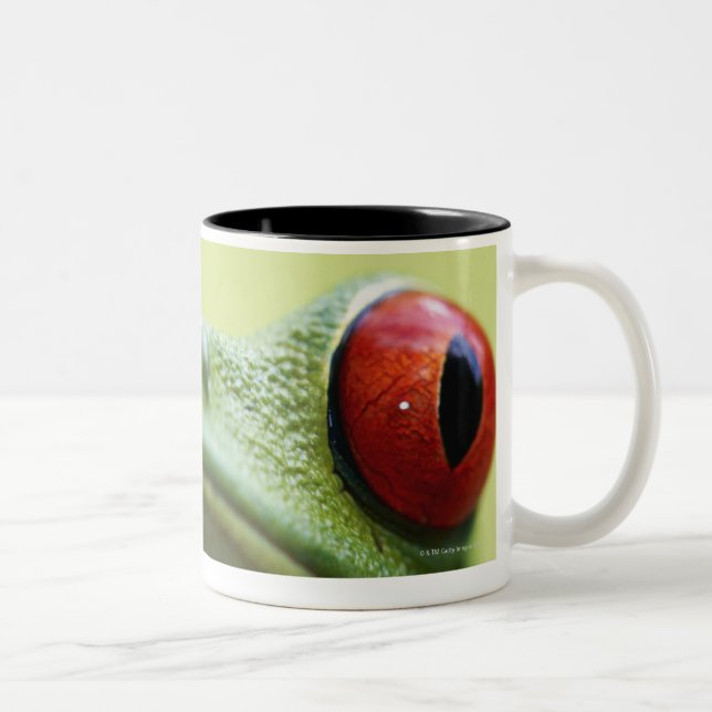Red-eyed tree frog (Agalychnis callidryas) Two-Tone Coffee Mug (Right)