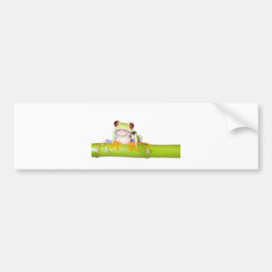 red eyed tree frog bumper sticker