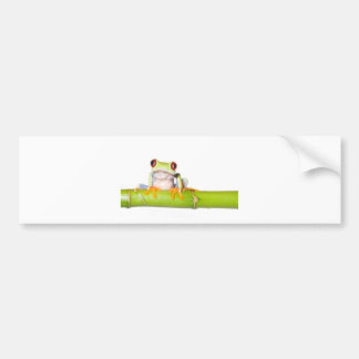 red eyed tree frog bumper sticker