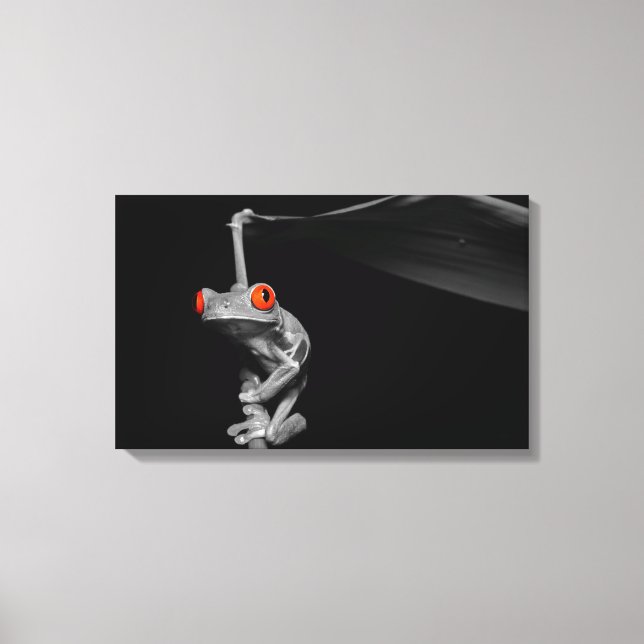 Red Eyed Tree Frog Canvas Print (Front)