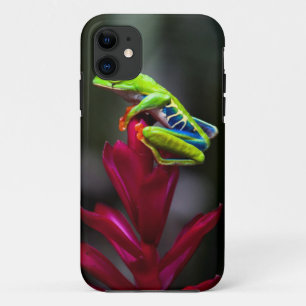 Red-eyed Tree Frog Case-Mate iPhone Case