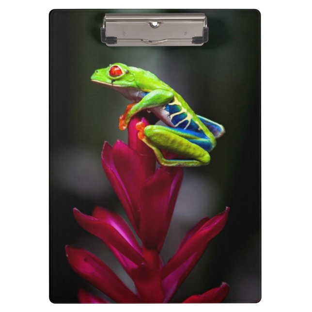 Red-eyed Tree Frog Clipboard (Front)