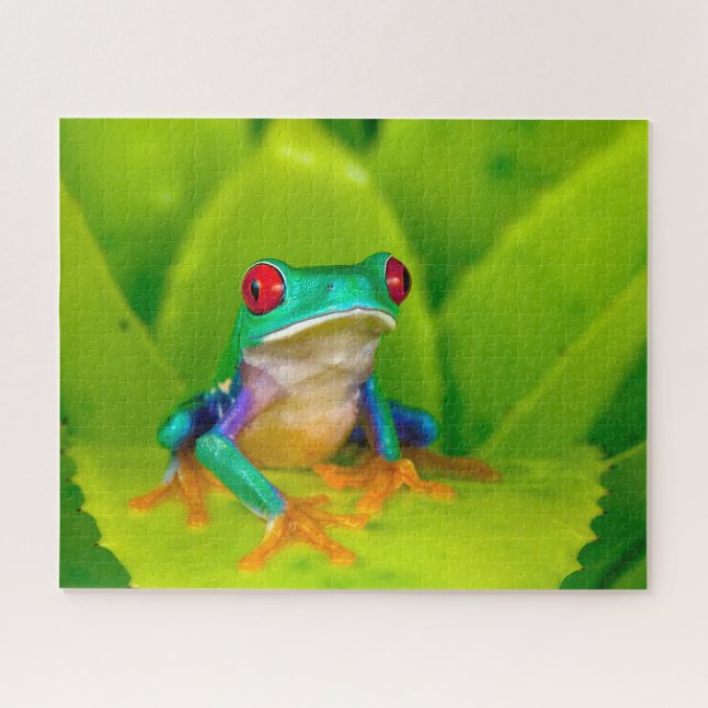 Red-eyed tree frog, Costa Rica Jigsaw Puzzle (Horizontal)
