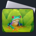 Red-eyed tree frog, Costa Rica Laptop Sleeve<br><div class="desc">Red-eyed tree frog (Agalychnis callidryas),  Costa Rica</div>