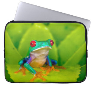 Red-eyed tree frog, Costa Rica Laptop Sleeve