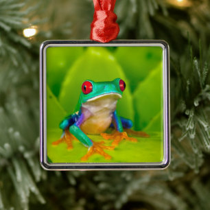 Red-eyed tree frog, Costa Rica Metal Tree Decoration