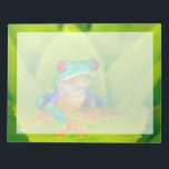 Red-eyed tree frog, Costa Rica Notepad<br><div class="desc">Red-eyed tree frog (Agalychnis callidryas),  Costa Rica</div>