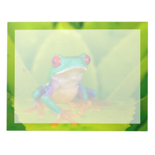 Red-eyed tree frog, Costa Rica Notepad
