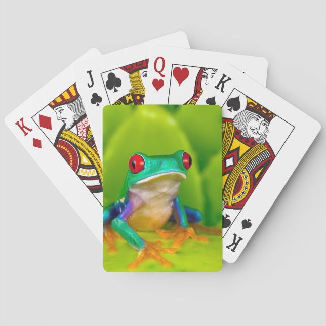 Red-eyed tree frog, Costa Rica Playing Cards (Back)