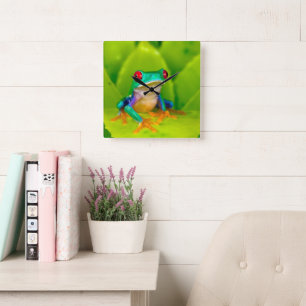 Red-eyed tree frog, Costa Rica Square Wall Clock