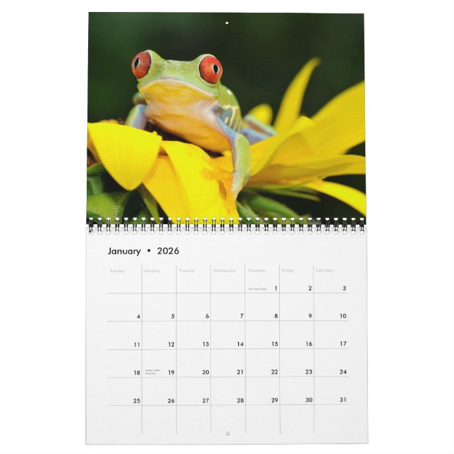 red eyed tree frog, Frogs 2011 calendar (Jan 2026)