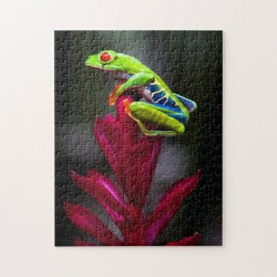 Red-eyed Tree Frog Jigsaw Puzzle