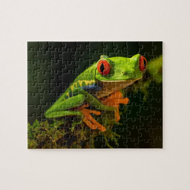 Red Eyed Tree Frog Jigsaw Puzzle (Horizontal)