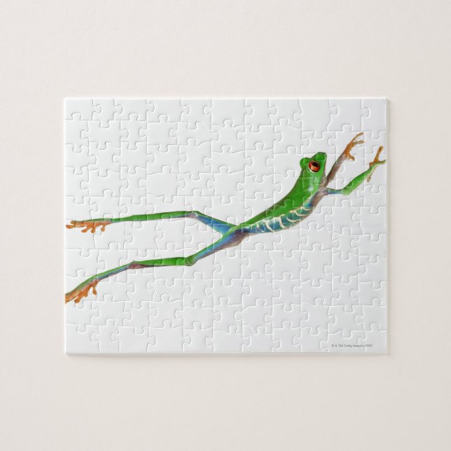 Red eyed tree frog jumping jigsaw puzzle (Horizontal)