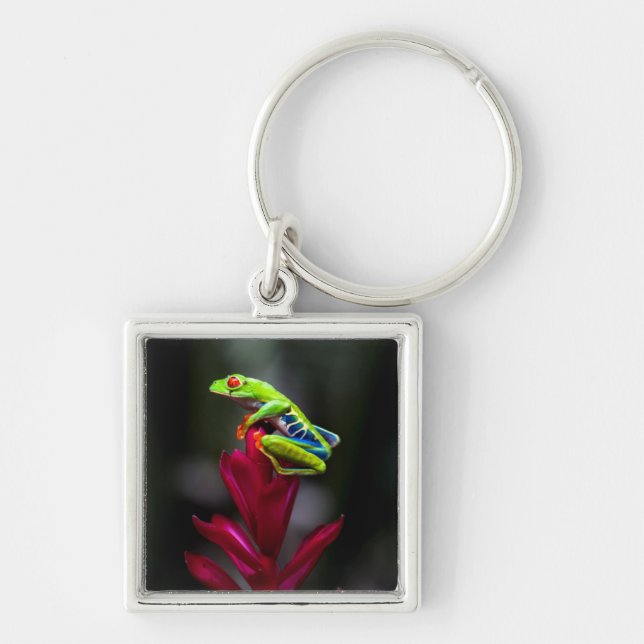 Red-eyed Tree Frog Key Ring (Front)