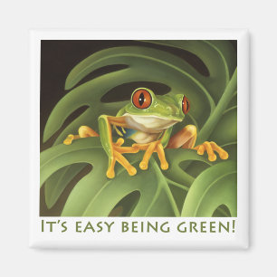 Red Eyed Tree Frog Magnet