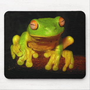 Red Eyed Tree Frog Mouse Pad