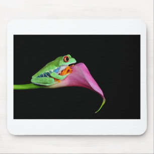 red eyed tree frog mouse pad
