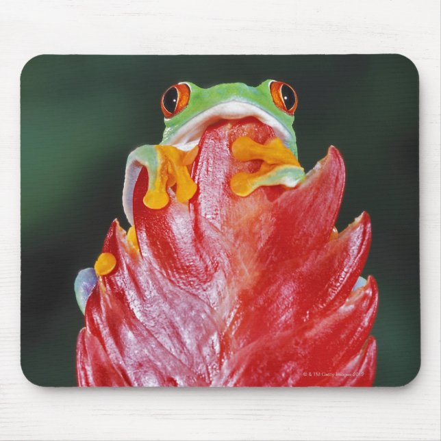 Red-Eyed Tree Frog on Leaf Mouse Pad (Front)