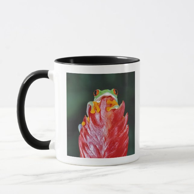 Red-Eyed Tree Frog on Leaf Mug (Left)