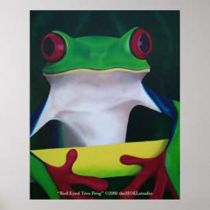 Red Eyed Tree Frog Poster