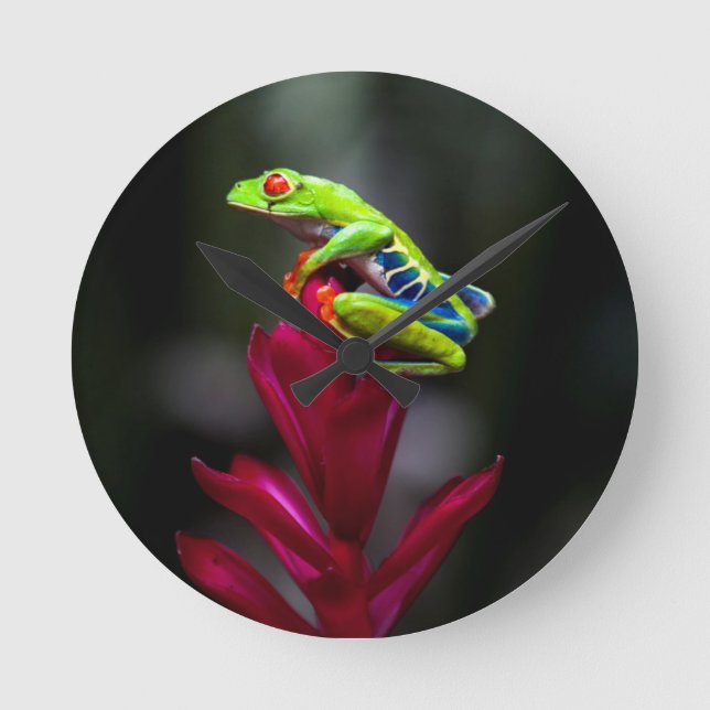 Red-eyed Tree Frog Round Clock (Front)