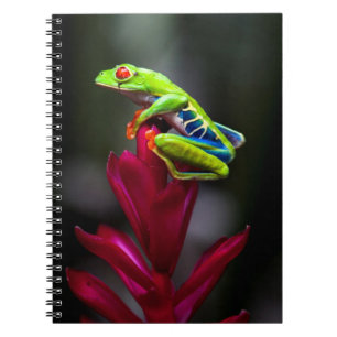 Red-eyed Tree Frog Spiral Notebook
