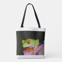 Red-eyed Tree Frog