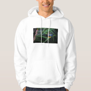 Red Eyes Frog On Leaf Hoodie