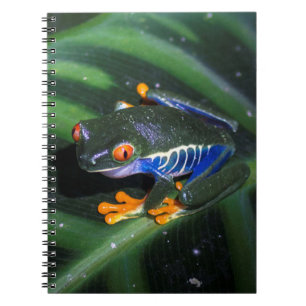 Red Eyes Frog On Leaf Notebook