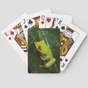 Red Eyes Frog On Stem Playing Cards