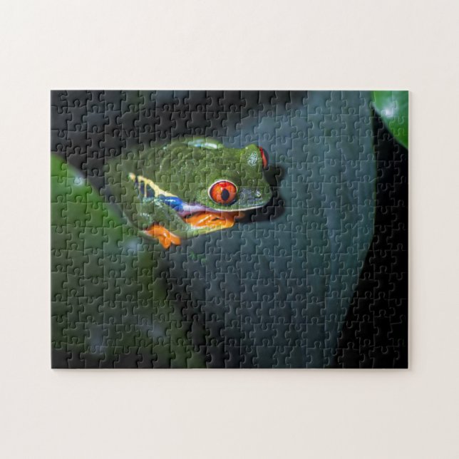 Red Eyes Frog Sitting Jigsaw Puzzle (Horizontal)