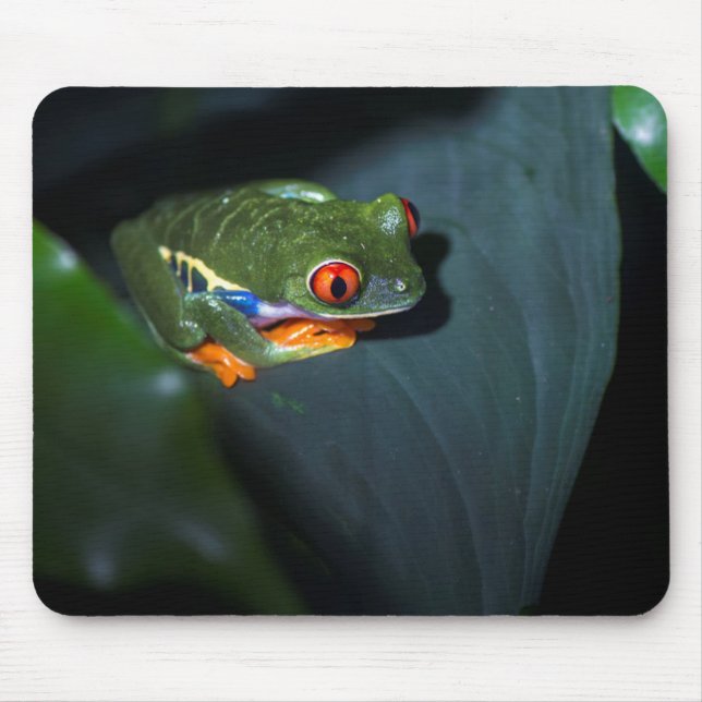 Red Eyes Frog Sitting Mouse Pad (Front)