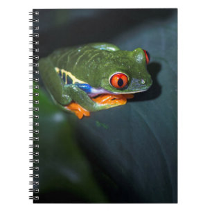 Red Eyes Frog Sitting Spiral Notebook