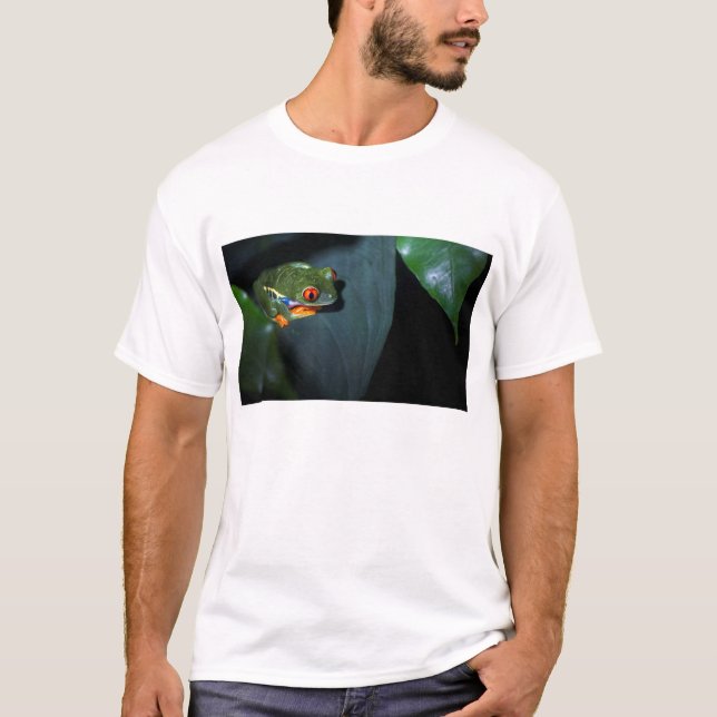 Red Eyes Frog Sitting T-Shirt (Front)