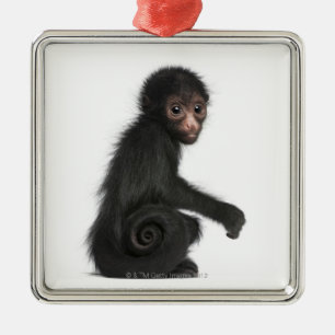 Red-faced Spider Monkey - Ateles paniscus (3 Metal Tree Decoration