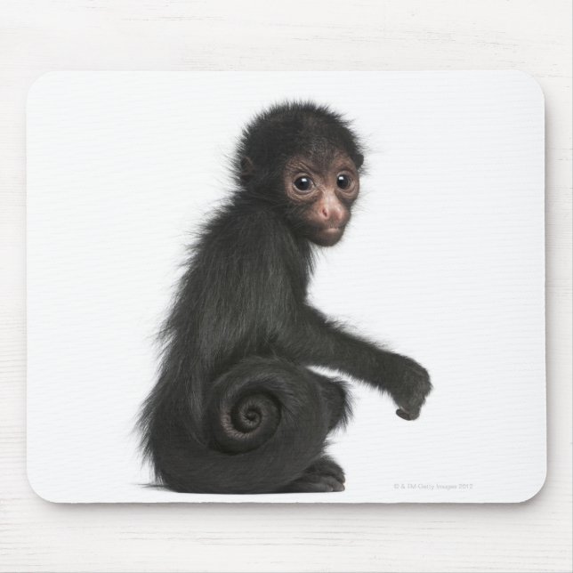 Red-faced Spider Monkey - Ateles paniscus (3 Mouse Pad (Front)