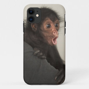 Red-faced Spider Monkey Ateles paniscus) Case-Mate iPhone Case