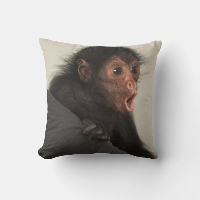 Red-faced Spider Monkey Ateles paniscus) Cushion (Front)