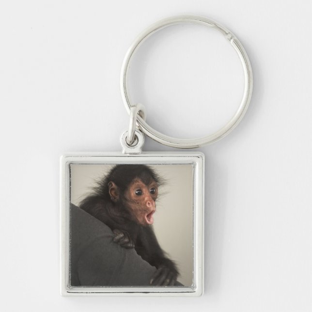 Red-faced Spider Monkey Ateles paniscus) Key Ring (Front)