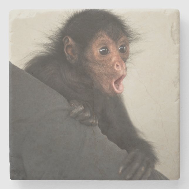 Red-faced Spider Monkey Ateles paniscus) Stone Coaster (Front)