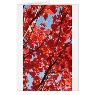 Red Fall