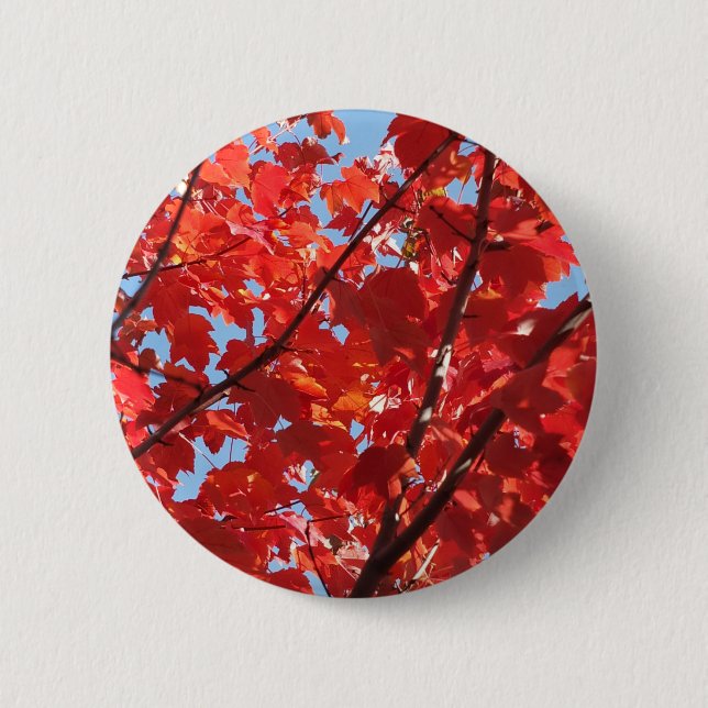 Red Fall 6 Cm Round Badge (Front)