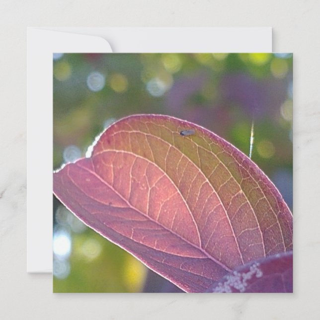 Red Fall Leaf And Bokeh Flat Card (Front)