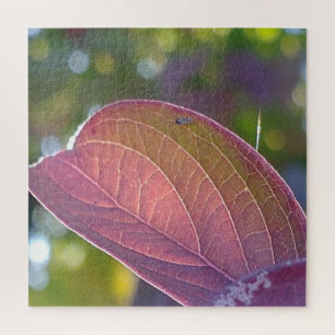 Red Fall Leaf And Bokeh Jigsaw Puzzle