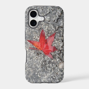 Red fall leaf in rain on grey textured road
