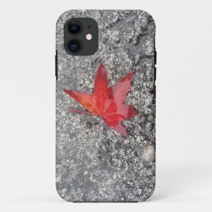 Red fall leaf in rain on grey textured road Case-Mate iPhone case