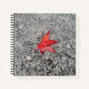 Red fall leaf in rain on grey textured road notebook